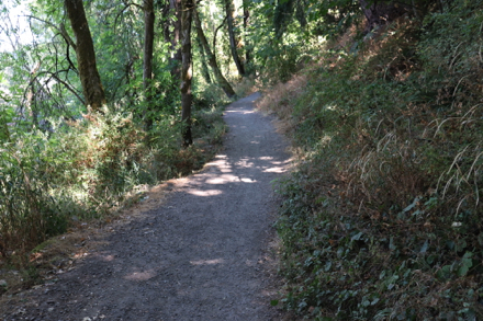 Typical section of trail before the lookout